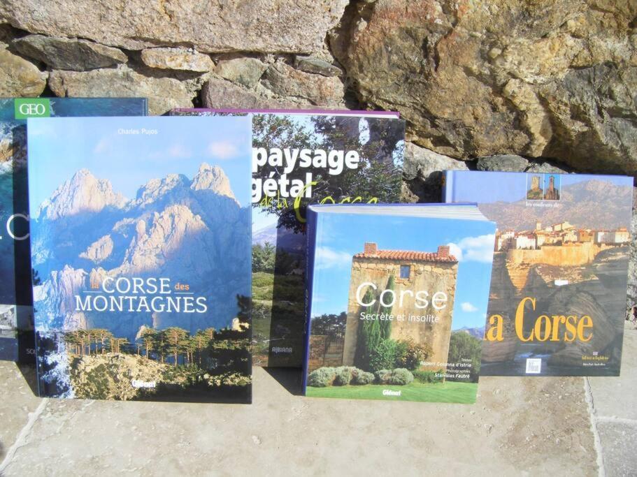 Le Capu Biancu-location Avec Vue Proche Des Gorges De L Asco Entre Et Montagne