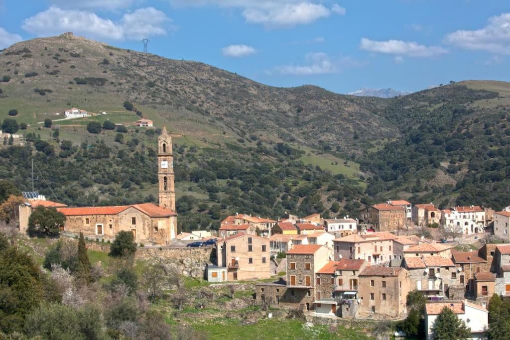 Apartment Le Capu Biancu-location Avec Vue Proche Des Gorges De L Asco Entre Et Montagne Moltifao