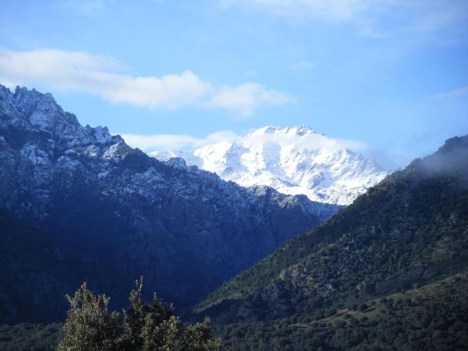 Le Capu Biancu-location Avec Vue Proche Des Gorges De L Asco Entre Et Montagne *